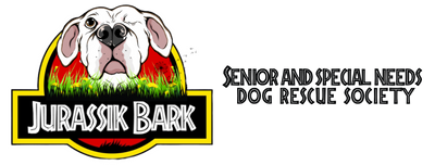 Jurassik Bark Rescue 